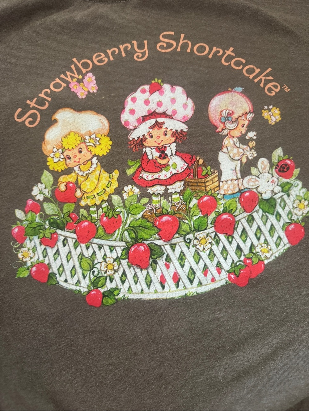 Strawberry Shortcake Oversized Brown Sweatshirt One Size OS Retro Graphic Cozy - Picture 3 of 7